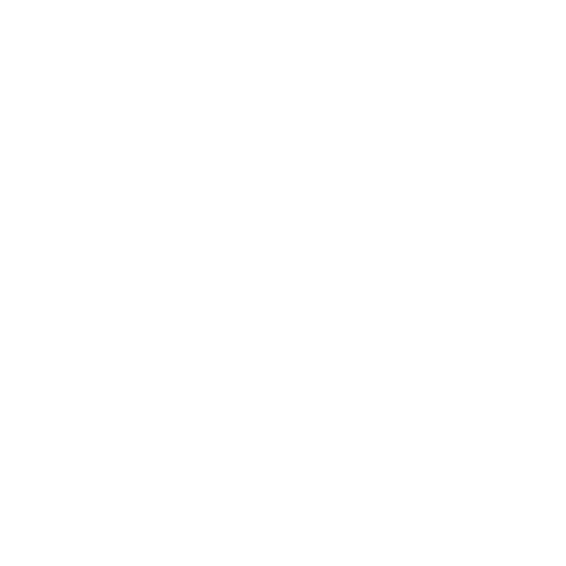 Professional Services
