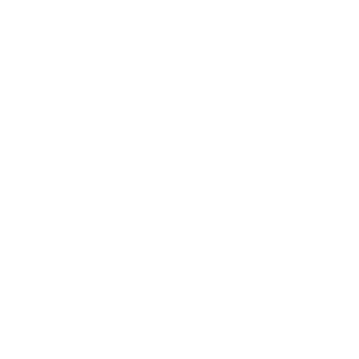 License Plates