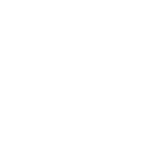 Motorcycles & Scooters